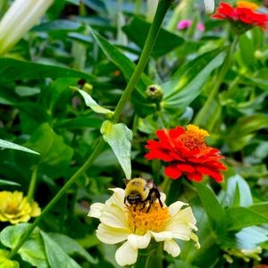 Meet your Posher, Tiana